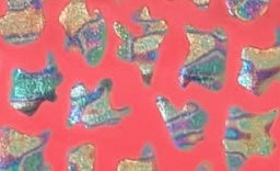 Tie back Daisy Swim Set